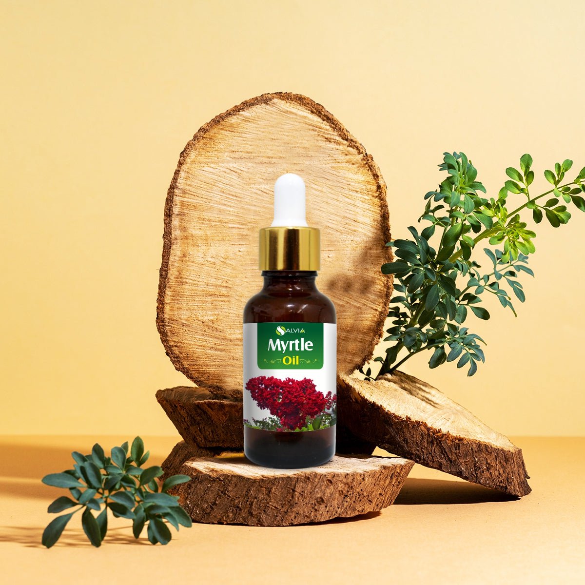 Salvia Natural Essential Oils Myrtle Essential Oil Salvia Natural Essential Oils Myrtle Essential Oil